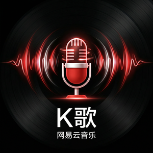 网易云音乐塞舌尔音乐使用指南